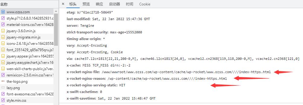 优化指南丨如何使用Rocket-Nginx让WP Rocket速度更快插图9