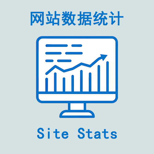 引入Site Stats插件：全方位展示您的WordPress网站统计数据插图